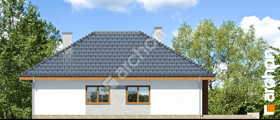 Дворовий фасад Будинок в бузку 2