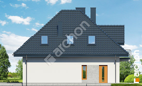 Бочний фасад Будинок в багрянику