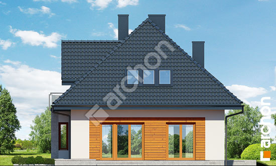 Дворовий фасад Будинок в багрянику