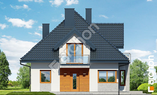 Передний фасад Дом в багрянике