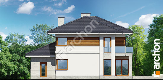 Дворовий фасад Вілла Еліза