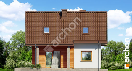 Дворовий фасад Будинок в суниці (ПН)