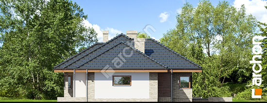 Бочний фасад Будинок під ціцербітою (Г2)