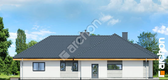 Бочний фасад Будинок в глоксиніях 2