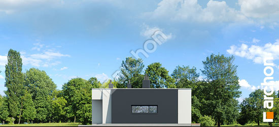 Бочний фасад Будинок в пепероміях (Г2)