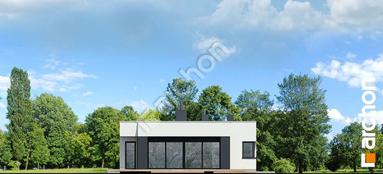 Бочний фасад Будинок в пепероміях (Г2)