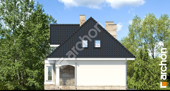 Боковой фасад Дом в авокадо (П)