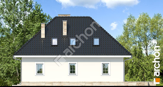 Дворовий фасад Будинок в авокадо (П)