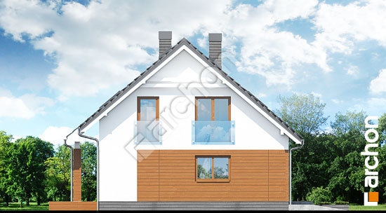 Бочний фасад Будинок в яблонках (Т)