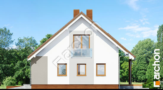 Бочний фасад Будинок в журавках (Т)