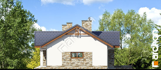 Бочний фасад Будинок в нерінах (Г2)