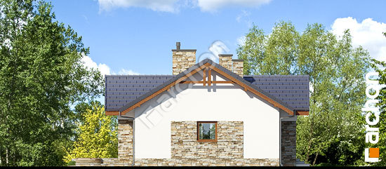 Боковой фасад Дом в неринах (Г2)