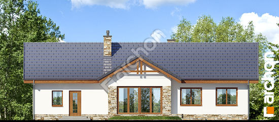 Дворовой фасад Дом в неринах (Г2)