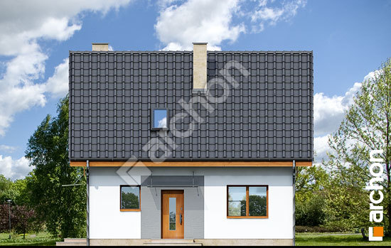 Передній фасад Будинок в хлорофітумі 2 (Т)