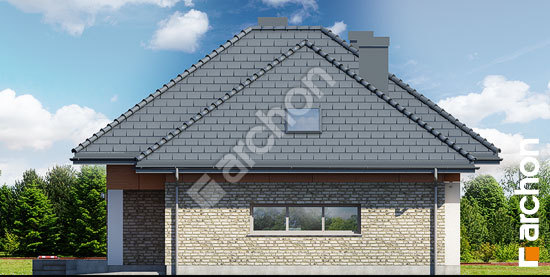 Бочний фасад Будинок в бузку 3 (Г)