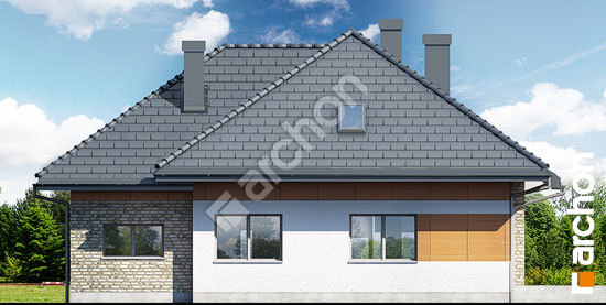 Дворовий фасад Будинок в бузку 3 (Г)