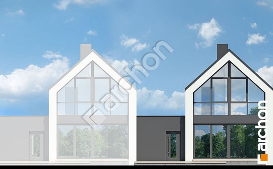 Дворовий фасад Будинок в мускатах (С)