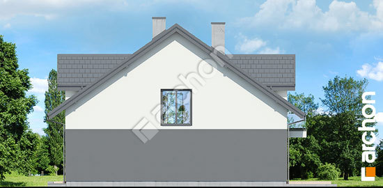 Бочний фасад Будинок під гінко 20 (ГР2)