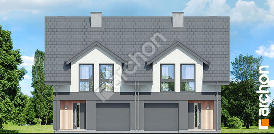 Передній фасад Будинок під гінко 20 (ГР2)