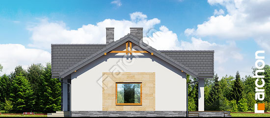 Бочний фасад Будинок в лещиновнику 2