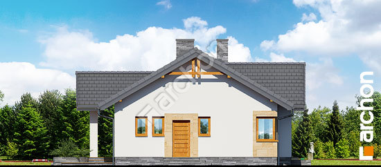 Бочний фасад Будинок в лещиновнику 2