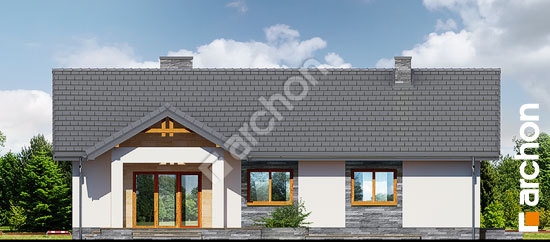 Дворовий фасад Будинок в лещиновнику 2