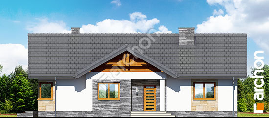 Передній фасад Будинок в лещиновнику 2