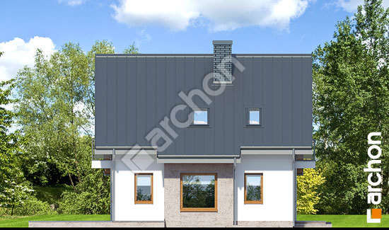 Боковой фасад Дом в рододендронах 4 (ПН)