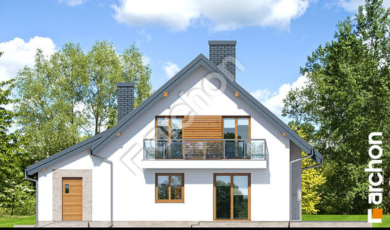 Дворовой фасад Дом в рододендронах 4 (ПН)