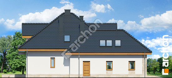 Боковой фасад Дом в кокосах (Н)