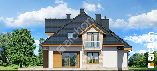 Дворовий фасад Будинок в кокосах (Н)