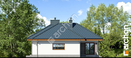 Бочний фасад Будинок в грушках (Г)