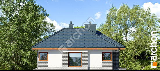 Бочний фасад Будинок в грушках (Г)