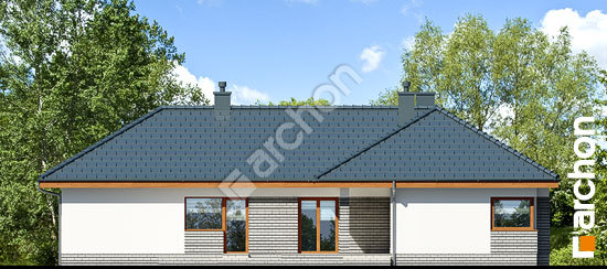 Дворовий фасад Будинок в грушках (Г)