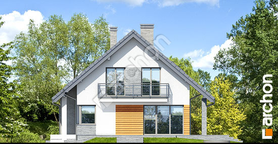 Бочний фасад Будинок в айдаредах 4 (П)