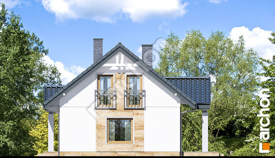 Бочний фасад Будинок під вербою (Г)