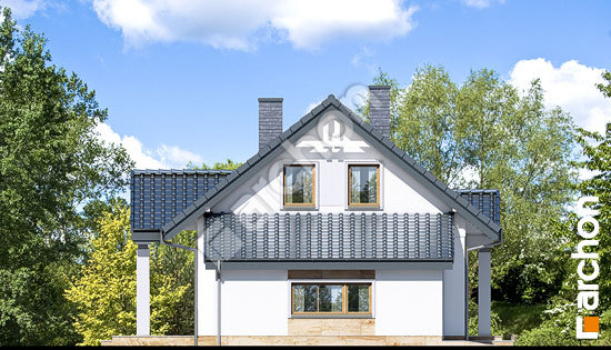 Бочний фасад Будинок під вербою (Г)