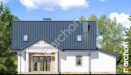 Дворовой фасад Дом под вербой (Г)