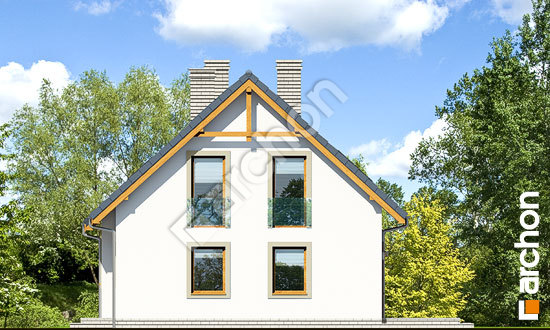 Бочний фасад Будинок в суниці 6