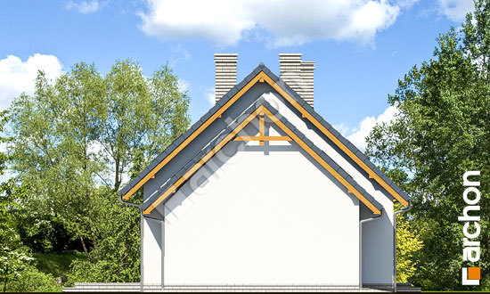 Бочний фасад Будинок в суниці 6