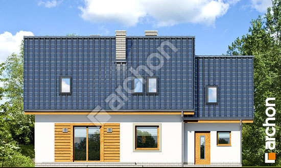 Дворовий фасад Будинок в суниці 6