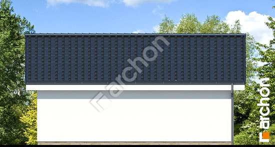 Дворовий фасад Двомісний гараж Г20