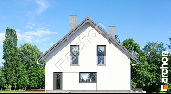 Боковой фасад Дом в аурорах 6