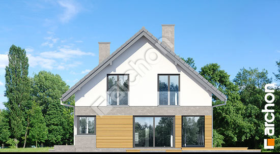 Боковой фасад Дом в аурорах 6