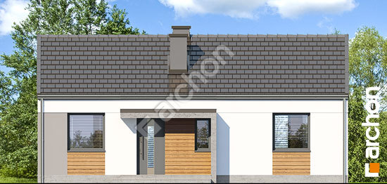 Передній фасад Будинок в коручках 3