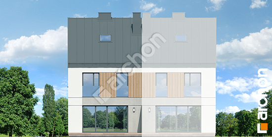 Дворовой фасад Дом в ривиях 9 (ГБ)