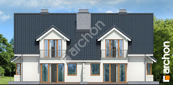 Дворовой фасад Дом в клематисах 7 вер. 3