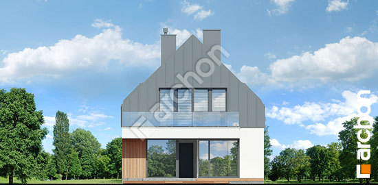 Дворовой фасад Дом в стрелитциях