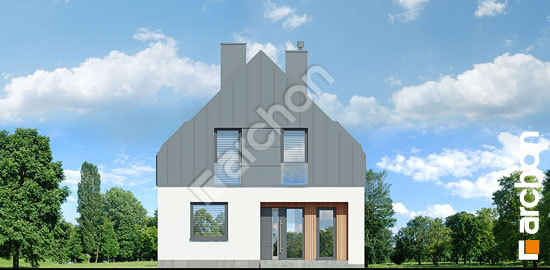 Передний фасад Дом в стрелитциях