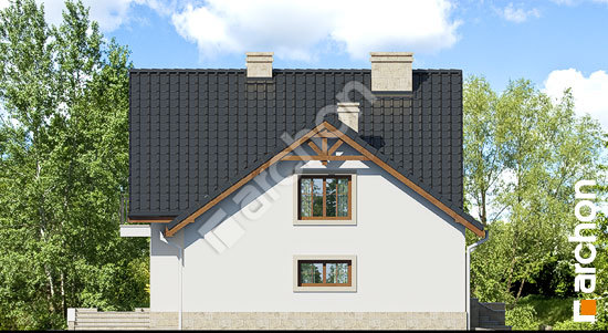 Бочний фасад Будинок в тамариску 2 (П) вер.2